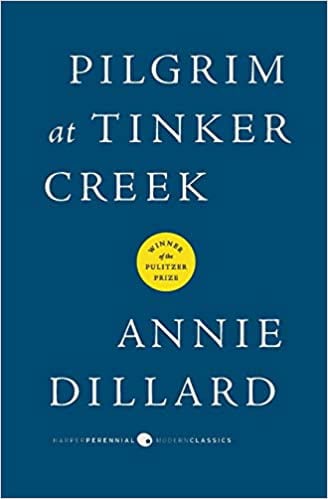 Pilgrim at Tinker Creek