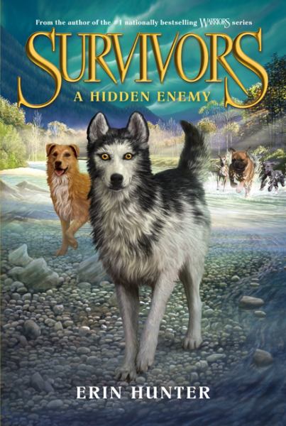 A Hidden Enemy (Survivors, Bk. 2)