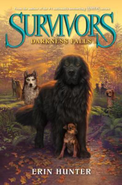 Darkness Falls (Survivors, Bk. 3)