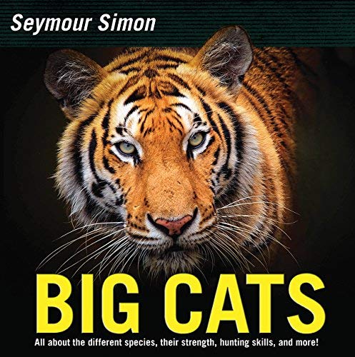 Big Cats (Revised)