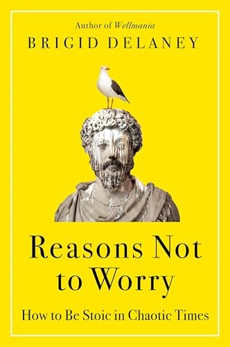 Reasons Not to Worry: How to Be Stoic in Chaotic Times