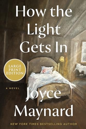 How the Light Gets In (Large Print)