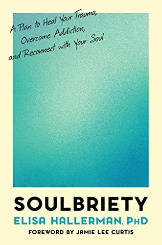 Soulbriety: A Plan to Heal Your Trauma, Overcome Addiction, and Reconnect With Your Soul