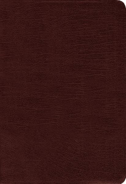 Amplified Holy Bible (Thumb Indexed, Burgundy Bonded Leather)