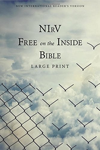 NIrV Free on the Inside Bible (Large Print)