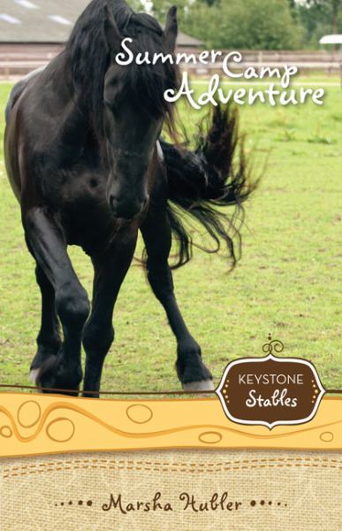 Summer Camp Adventure (Keystone Stables, Bk#4)