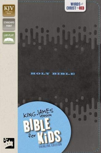 KJV Bible for Kids: Thinline Edition (Charcoal Leathersoft)