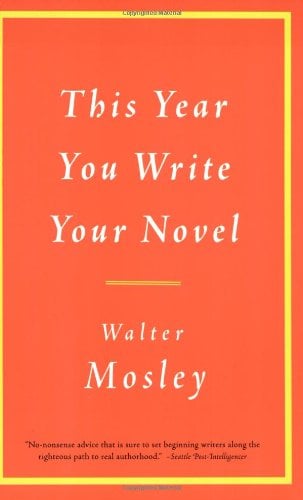 This Year You Write Your Novel