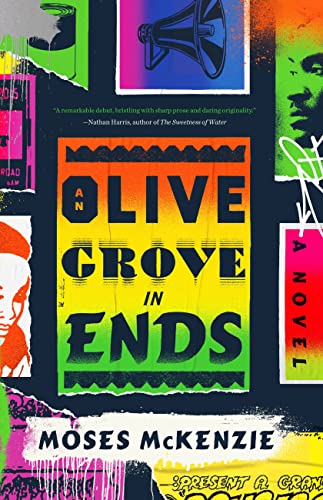 An Olive Grove in Ends