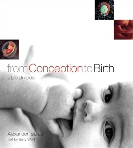 From Conception To Birth