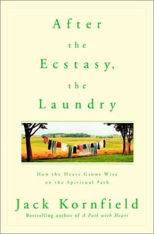 After the Ecstasy, the Laundry