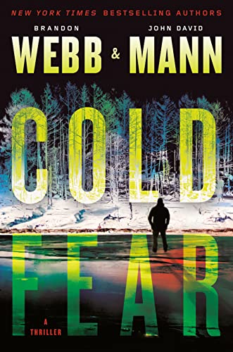 Cold Fear (The Finn Thrillers, Bk. 2)