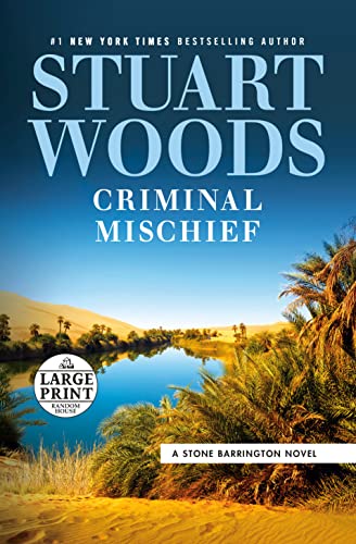 Criminal Mischief (Large Print)