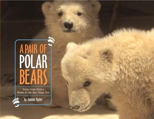 A Pair of Polar Bears