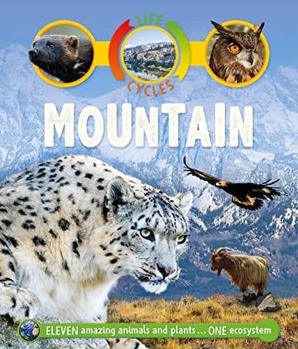 Mountain (Life Cycles)