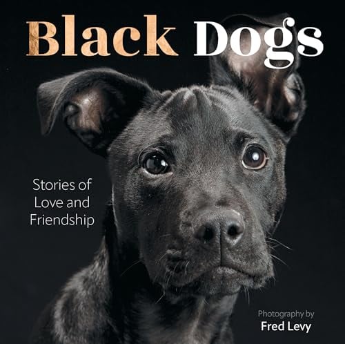 Black Dogs: Stories of Love and Friendship