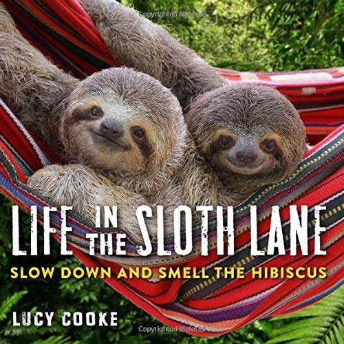 Life in the Sloth Lane: Slow Down and Smell the Hibiscus