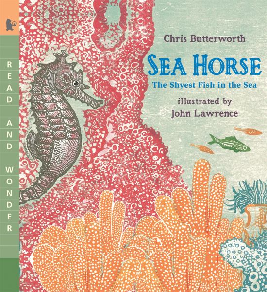 Sea Horse