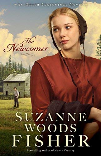 The Newcomer (Amish Beginnings, Bk. 2)