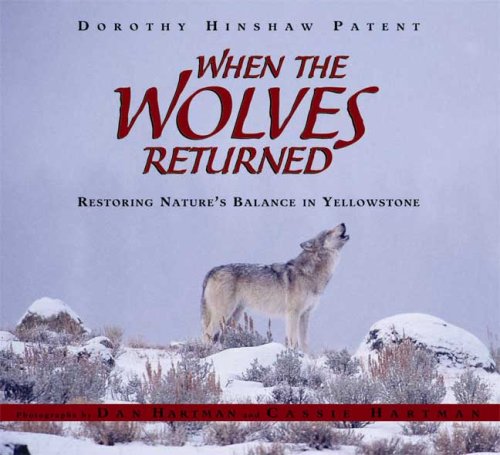 When The Wolves Returned