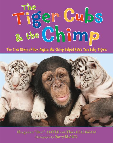 The Tiger Cubs & the Chimp