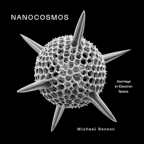 Nanocosmos: Journeys in Electron Space