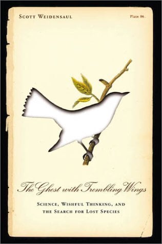 The Ghost with Trembling Wings