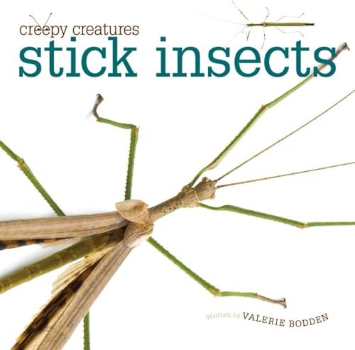 Stick Insects (Creepy Creatures)