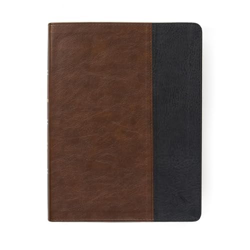 CSB Men of Character Bible (Indexed, Brown/Black LeatherTouch)