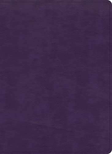 KJV, Study Bible (Indexed, Plum LeatherTouch)
