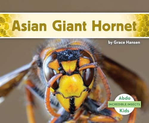 Asian Giant Hornet (Incredible Insects)