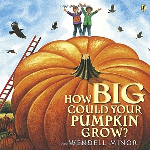 How Big Could Your Pumpkin Grow?