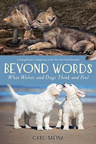 Beyond Words: What Wolves and Dogs Think and Feel (Beyond Words, Bk. 2)