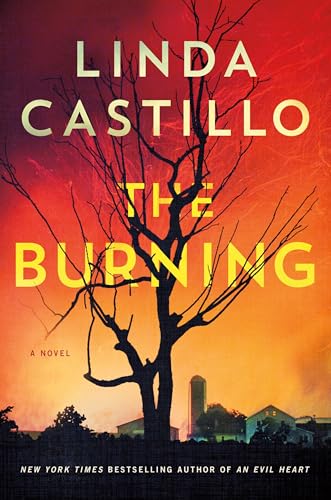 The Burning (Kate Burkholder, Bk. 16)