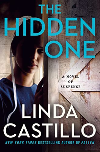 The Hidden One (Kate Burkholder, Bk. 14)