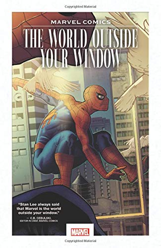 The World Outside Your Window (Marvel Comics)