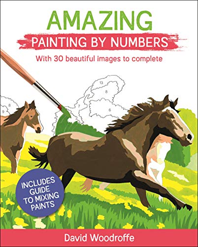 Amazing Painting by Numbers: With 30 Beautiful Images to Complete
