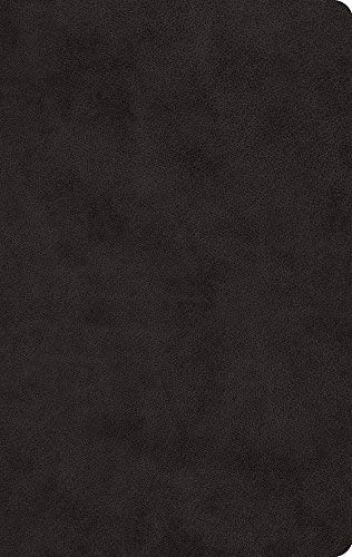 ESV Large Print Value Thinline Bible (TruTone Black)
