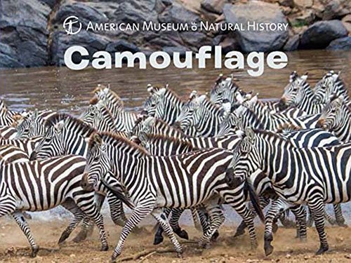 Camouflage (American Museum of Natural History)