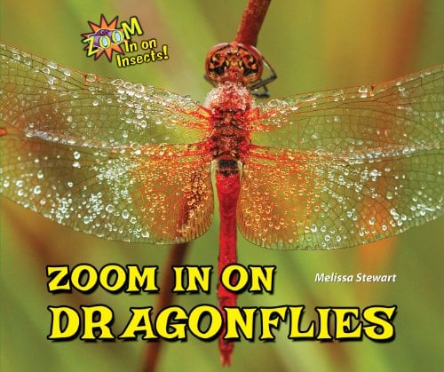 Zoom In On Dragonflies (Zoom In On Insects!)
