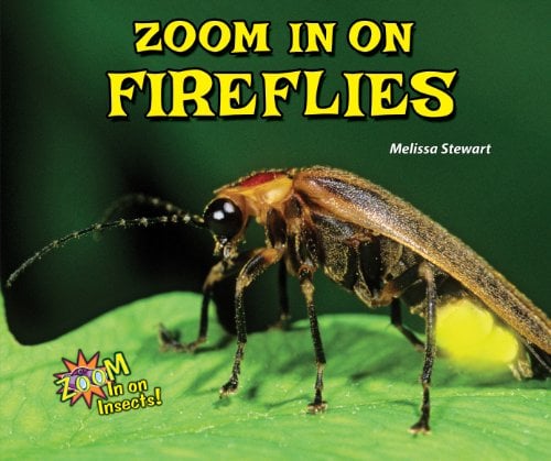 Zoom in on Fireflies (Zoom in on Insects!)