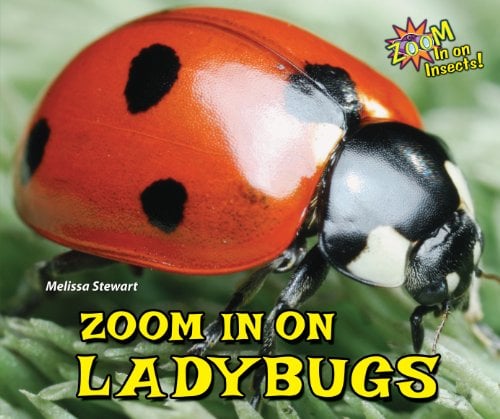 Zoom In on Ladybugs (Zoom In on Insects!)