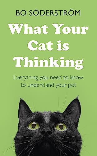 What Your Cat Is Thinking: Everything You Need to Know to Understand Your Pet