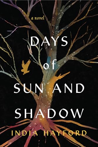 Days of Sun and Shadow