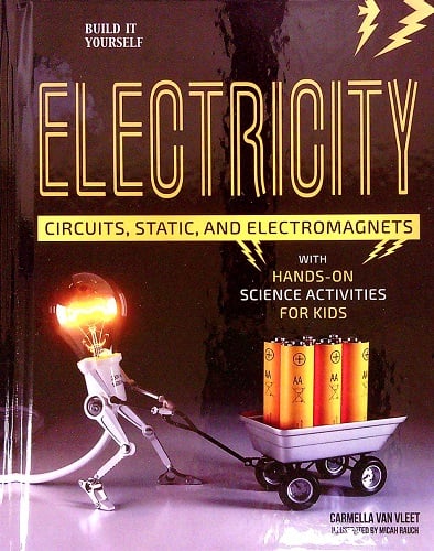 Electricity: Circuits, Static, and Electromagnets (Build it Yourself, STEM Focus on Science)