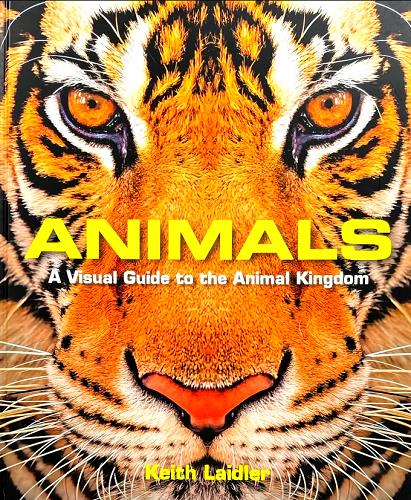 Animals: A Visual Guide to the Animal Kingdom