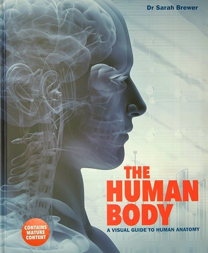 The Human Body: A Visual Guide to Human Anatomy