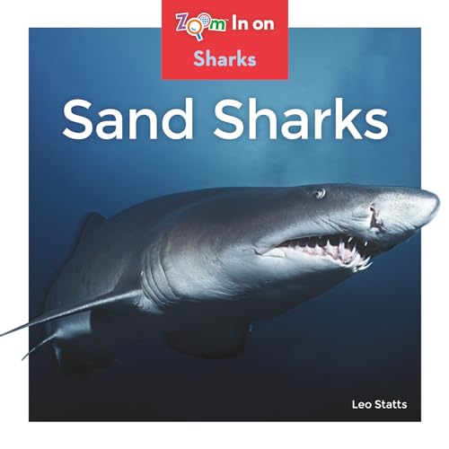 Sand Sharks (Zoom in on Sharks)