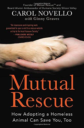 Mutual Rescue: How Adopting a Homeless Animal Can Save You, Too