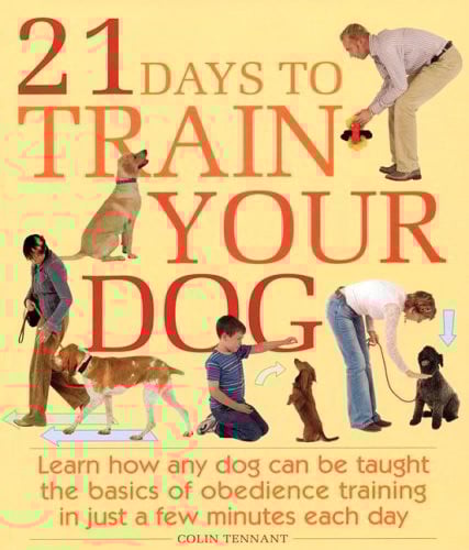 21 Days to Train Your Dog